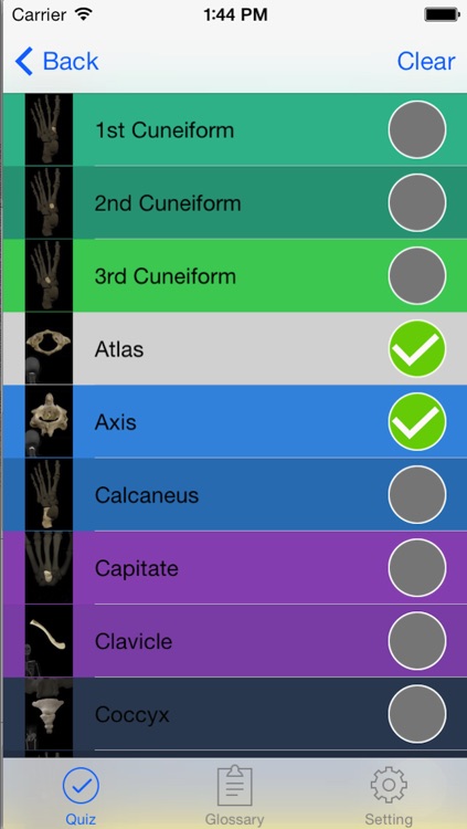 Anatomy, Physiology Quiz and Glossary for iPhone