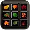 Leaves Collector - Switch and Swap Matching Plants Full