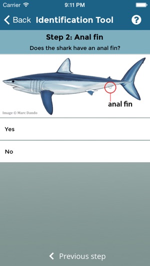 ST Angler(圖2)-速報App