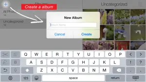 Easy Albums Free screenshot #2 for iPhone