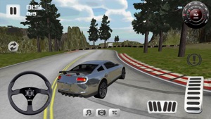 Sport Car Simulator 3D screenshot #1 for iPhone