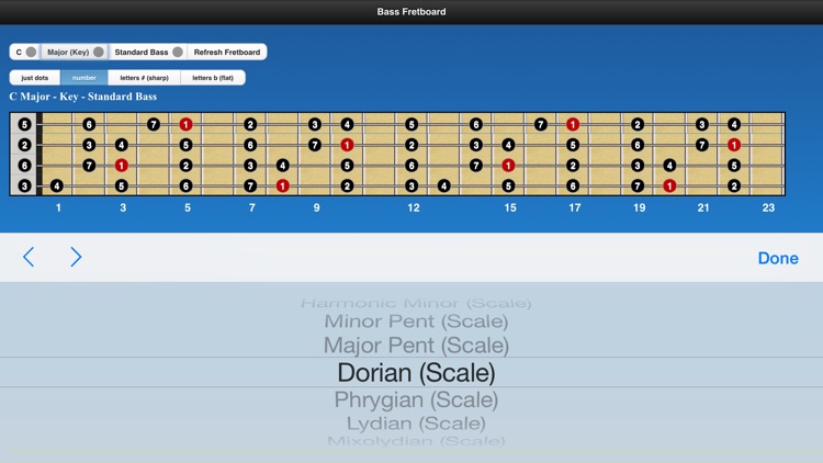 Bass Chords and Scales