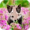 Cat Jigsaw Puzzle Free