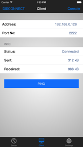 TCP Console screenshot