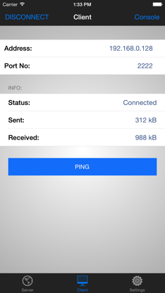 TCP Console screenshot 3