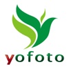 yofoto-提供优质健康生活产品