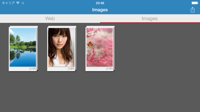 Screenshot #3 pour Awesome Web Image Collector Lite
