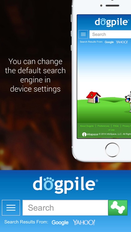 Full Screen Private Browser for iPhone screenshot-4