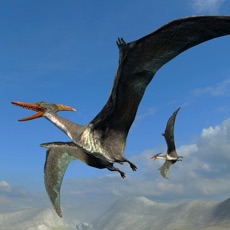 Activities of Pterodactyl Survival Simulator