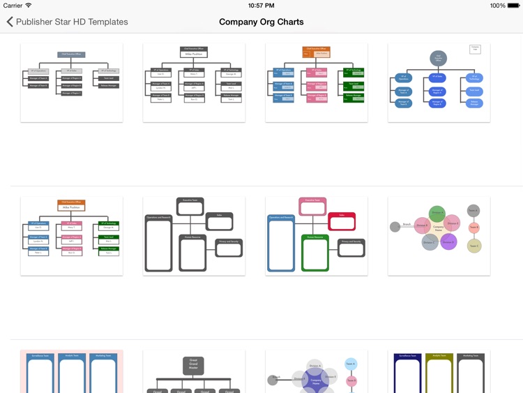 Publisher Organizational Chart Template