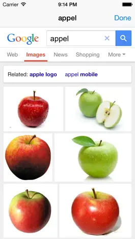Game screenshot Dutch-English Dictionary Free hack