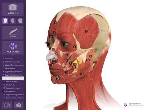 Interactive Anatomy - AE screenshot 3