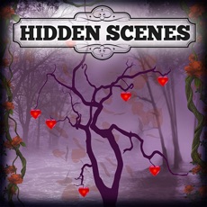 Activities of Hidden Scenes - Holidays
