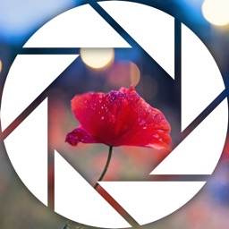 After Focus - Photo Studio