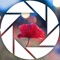 After Focus - Photo Studio creates unique artworks by applying a great focus effect and using a powerful photo editor, effects and your creativity