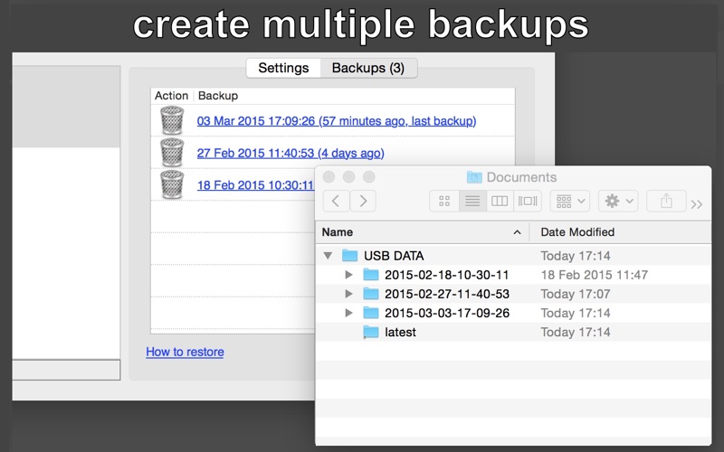 Screenshot #2 pour Flash Drive Backup