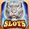 Asian Tiger King Casino Slots : The Lucky Way to Win on Super Las Vegas !