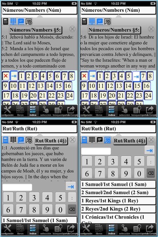 Spanish(Reina Valera)/English reference Bible screenshot 2