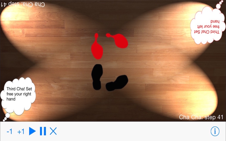 DanceSteps screenshot 2