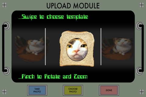 Cats In Space! screenshot 2