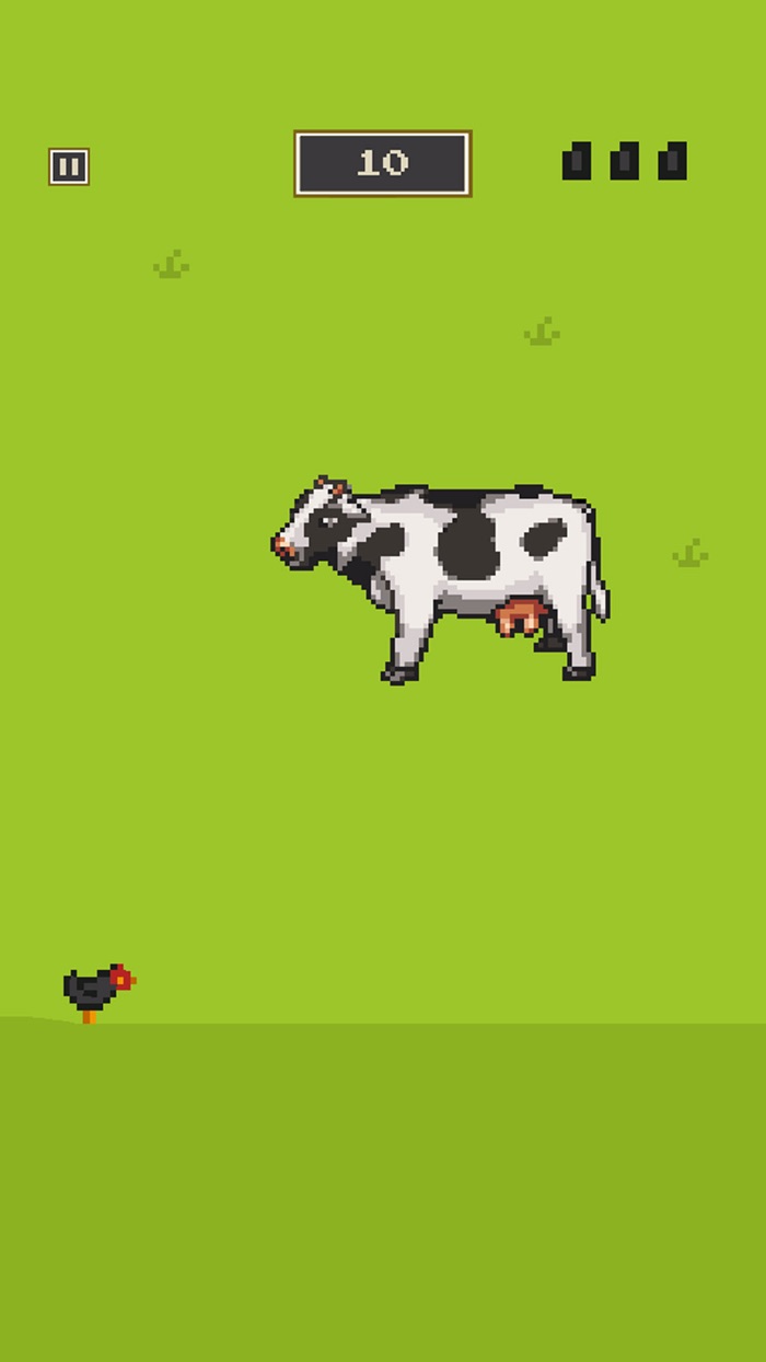 Flappy Chicken The Bird Who Wished to Fly