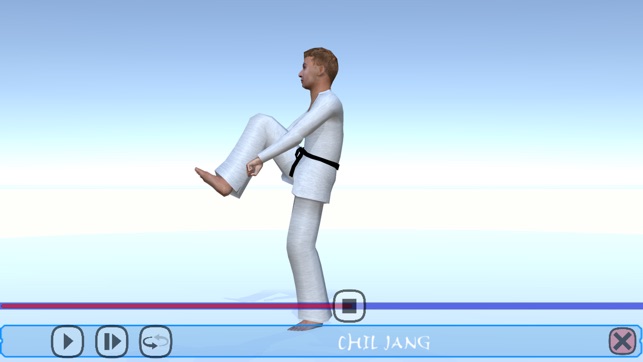 Taekwondo Poomsae(圖5)-速報App