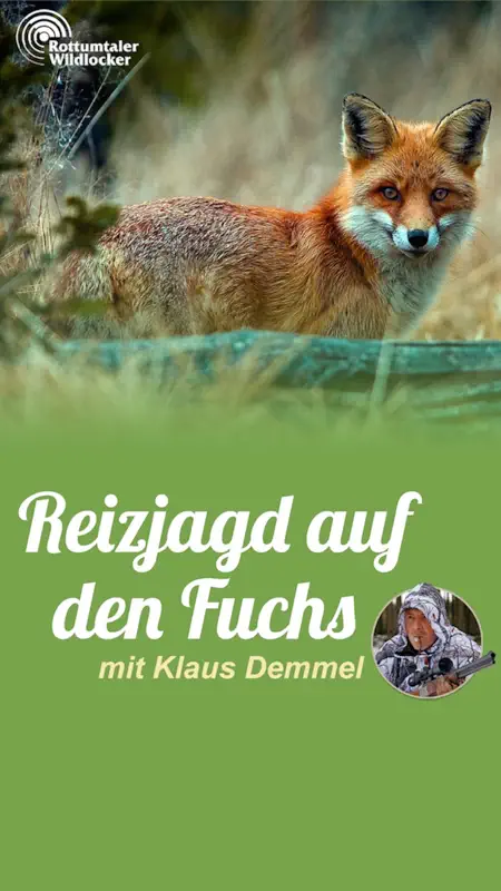 Fuchs Jagd screenshot 1 of 5