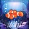 Clownfish Aquarium