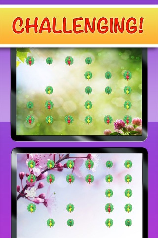 Peacock Pop - Free Fun Cute Puzzle Game! screenshot 2