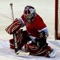 Keep track of your goalie’s saves and goals scored by period
