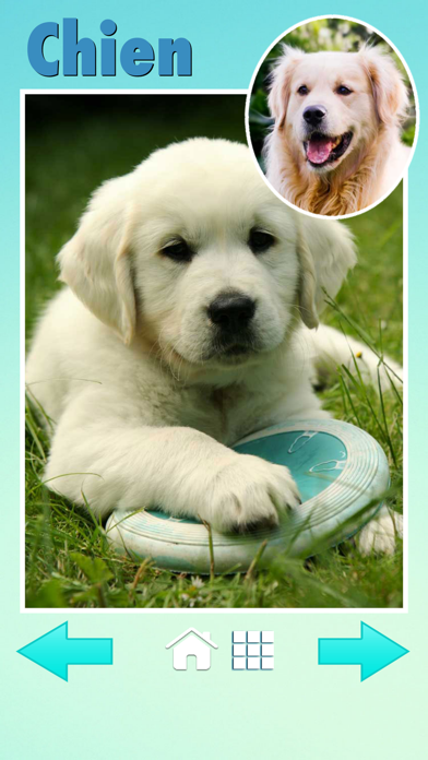 Screenshot #1 pour Zoola baby animals