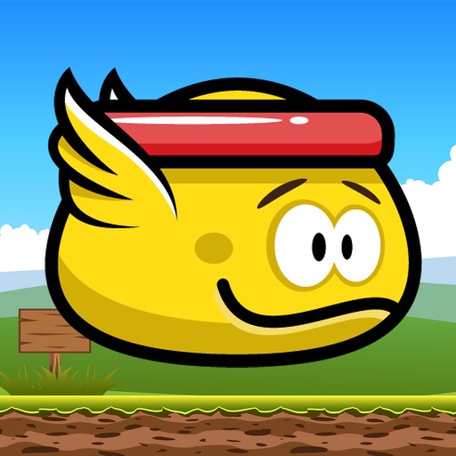 Fly Egg Fly Pro Icon