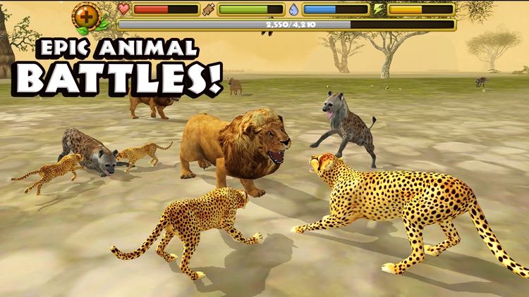 Cheetah Simulator screenshot-4