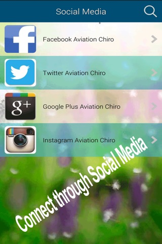 Aviation Chiropractic screenshot 4