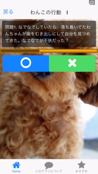 Screenshot #2 pour 無料 いぬのきもちわかるかな？犬好きの為のアプリ