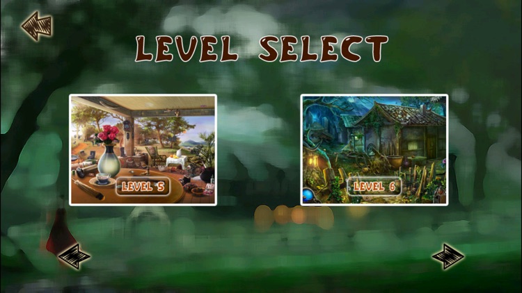 Lost In The Jungle Hidden Object screenshot-3