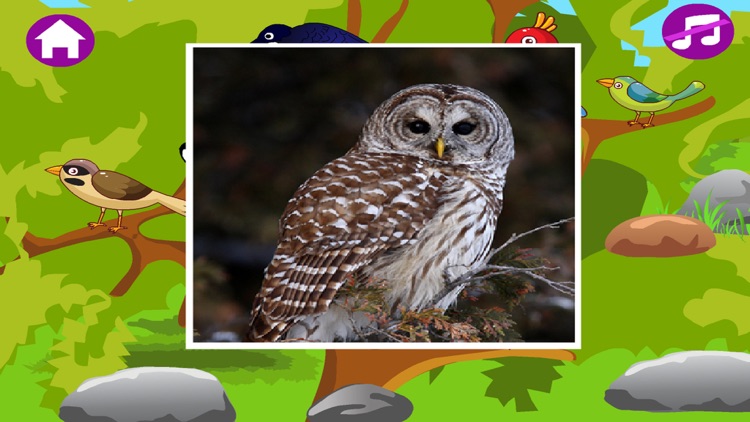 Animal Sounds Free-Fun Animal Sounds Game for Kids screenshot-3