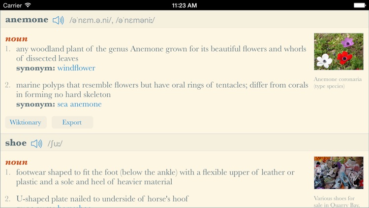 Dictionary+ HD: Elegant offline dictionary with images screenshot-3