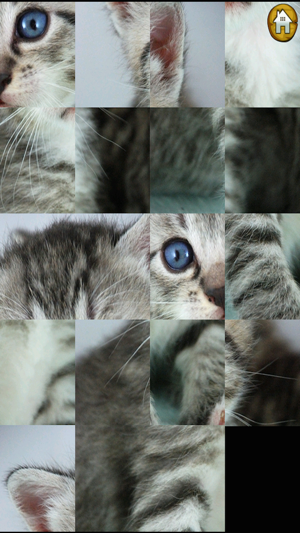 Kittens and Puppies Sliding Puzzle(圖3)-速報App