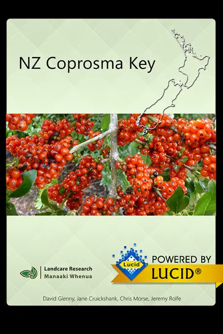 NZ Coprosma Key