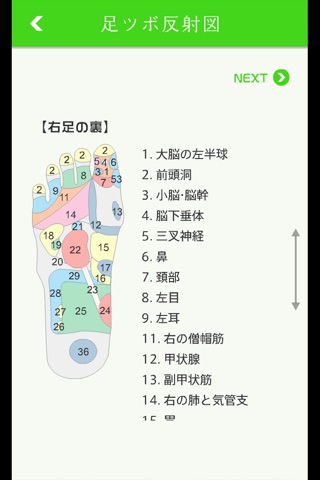 リフレクソロジー screenshot 2