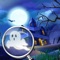 Hunted House The Dark Manor Ghost Hidden Objects & Find The Difference
