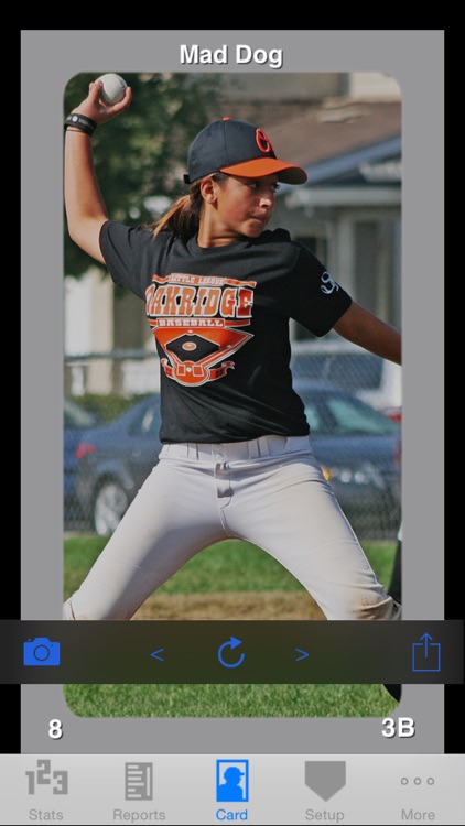 StatCatcher™ Baseball (Player Edition) screenshot-3