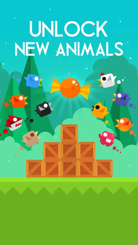 Run Bird Run