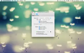 simple svn server айфон картинки 1