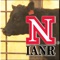 The conformation of a beef cow's teats and udder are important in a profitable cow/calf enterprise