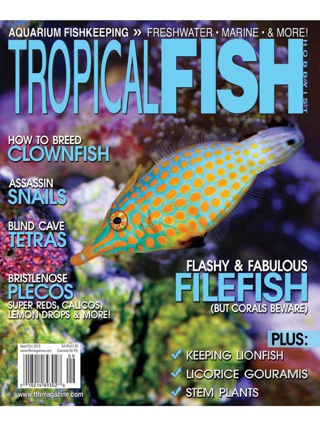 Fish Tank Layout Advice  Tropical Fish Hobbyist Magazine