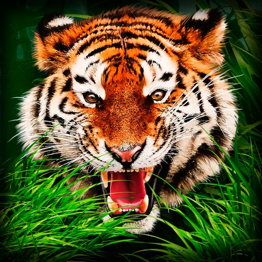 Safari Wildlife: Tiger Simulator 3D Full icon