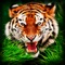 Safari Wildlife: Tiger Simulator 3D Full