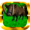 Boar Hunter Gold